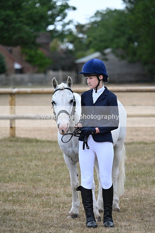 WJ7_9496 - Class 5 Most Handsome Gelding (up to 14.2hh)