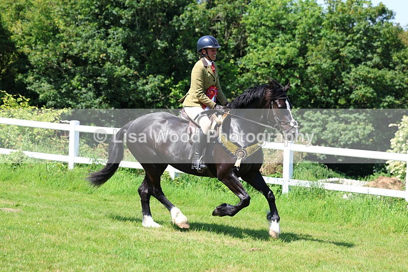 3E7A6850 - Working Hunter Pony Championship