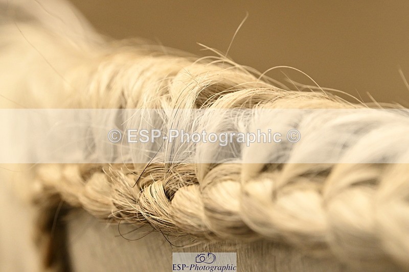 240809A-092552-00078 - Stable Shots