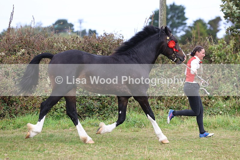 3E7A4274 - Class 15: Two Year Olds