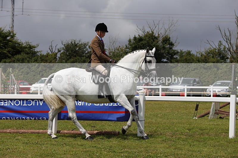 1X9A4227 - Plaited Ridden Championship