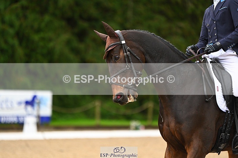 231021-120458-14898 - 242-SAMMEO-Oscar.Fitzgerald-DR