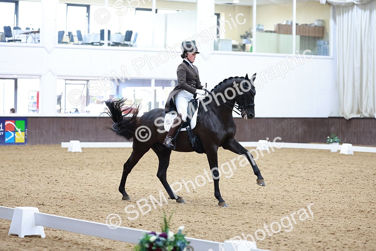 SBM_021306 - Class 14 - FEI Grand Prix - 17.40-18.34