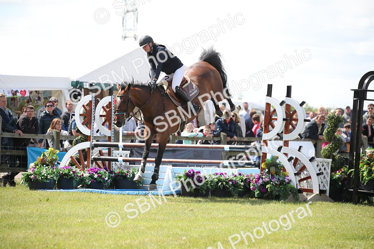 SBM_17375 - Class 208 - Senior Foxhunter 1.20m Open