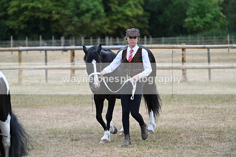 WJ7_8032 - Class 4 Prettiest Mare up to 14.2hh