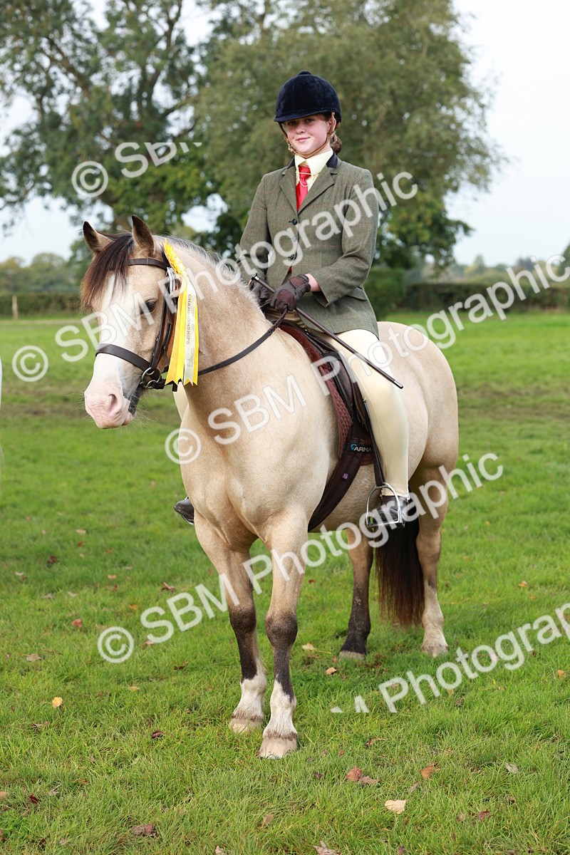 SBM_56494 - S39 - Starters In Hand Showing