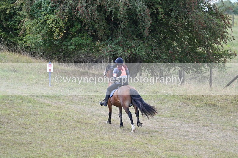 WJ7_5202 - Time 11:22 to 11:41