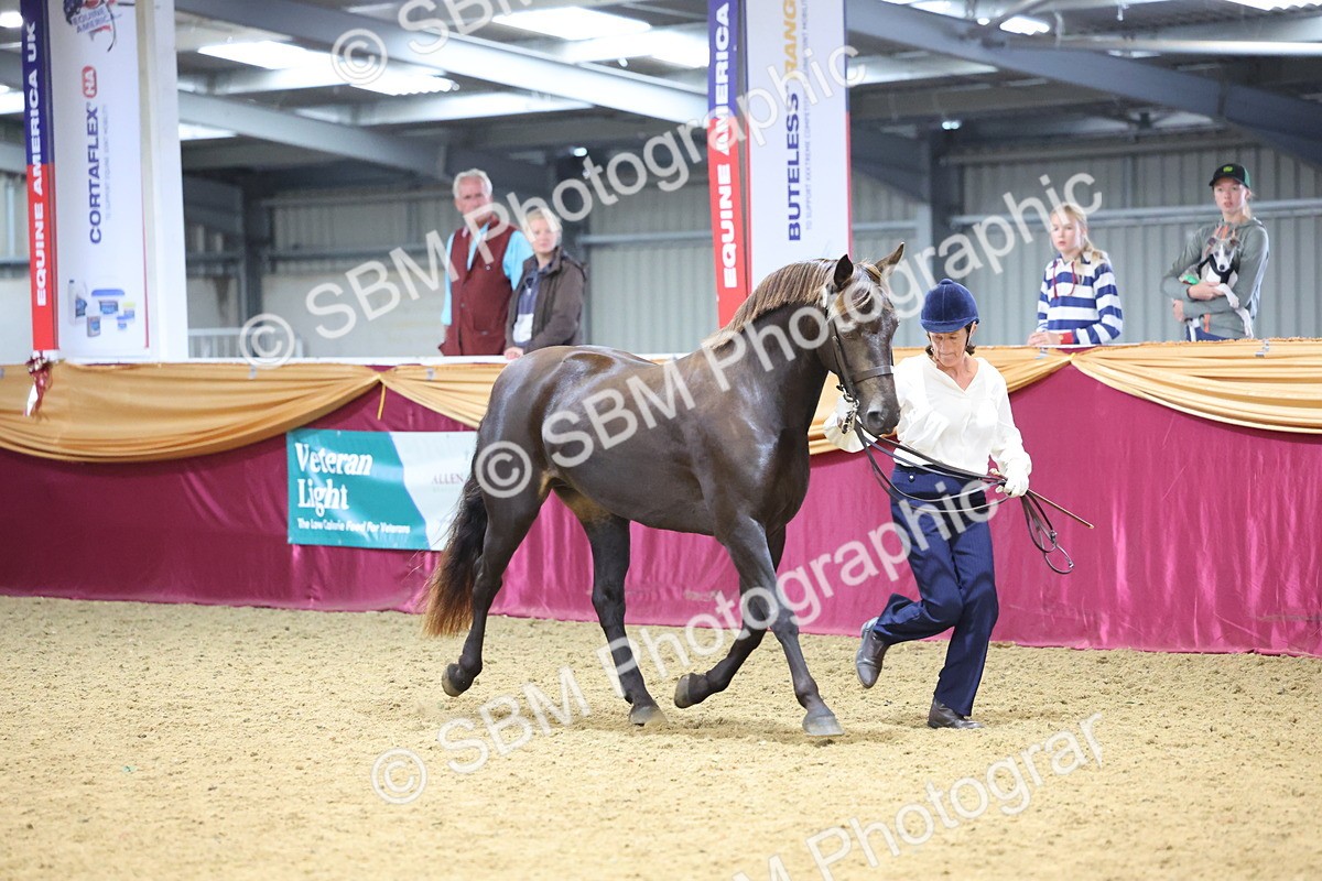 SBM_22800 - Class 903 - Supreme Final - IH Pre Vet