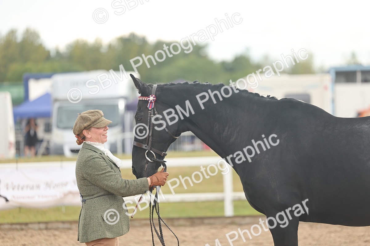SBM_07906 - Class 28 - IH Veteran Horse