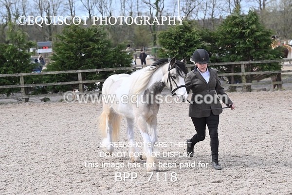 BPP_7118 - RING 1  (RIDDEN HORSES / IN HAND / VETERAN ETC)