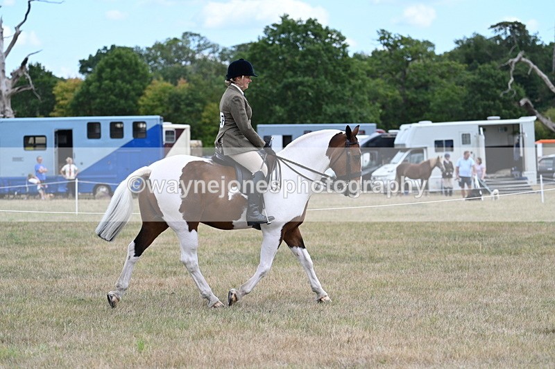 WJ7_4892 - Class 12 Ridden Cob