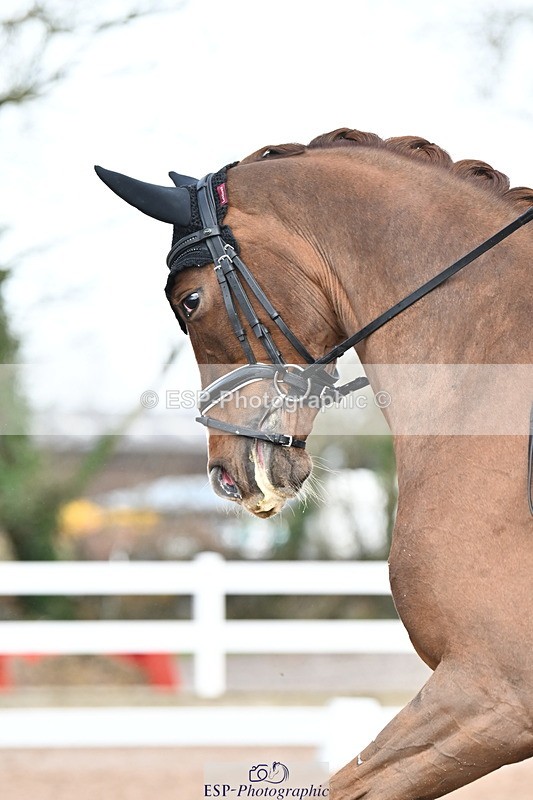 240218A-123158-07003 - 276-Jezz.Palmer-Hawtins.Fiorucci