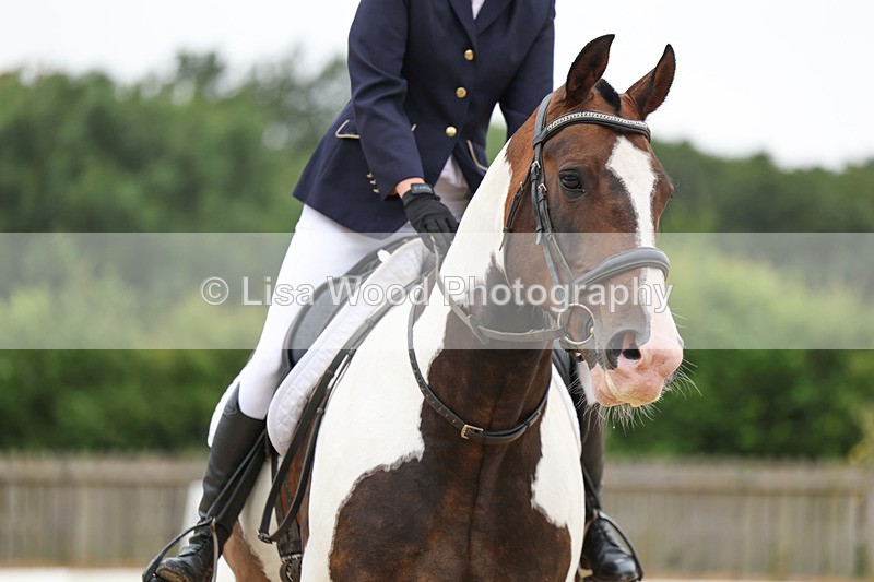 3E7A7955 - Class 1: Intro 3 2024 section A