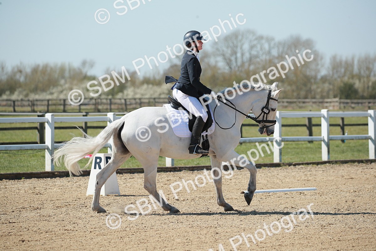 SJ3_0973 - Class 2-5-4-6-7 - Paso Doble-Golega-Sevilla-Lisboa-Novato