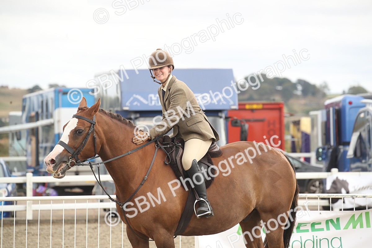 SBM_17748 - Class 508a - Working Veteran 70cm (15-19)