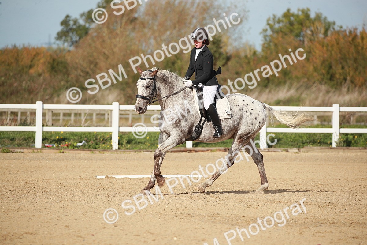 SBM_001704 - Class 4 - Novice 5