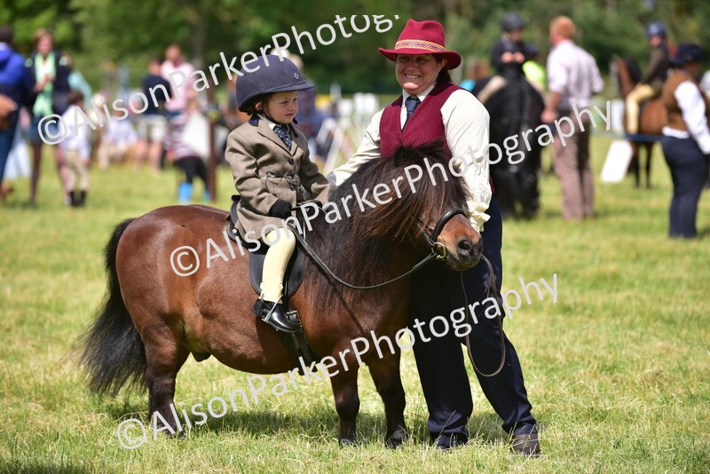20260614-1244 - Class 11a - Lead Rein Pony (Unplaited)