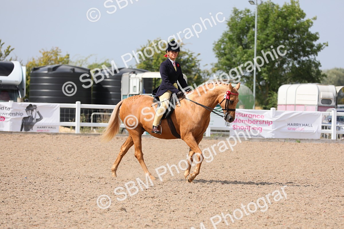 SBM_15560 - Class 311 Ridden Show Pony/ Show Hunter Pony