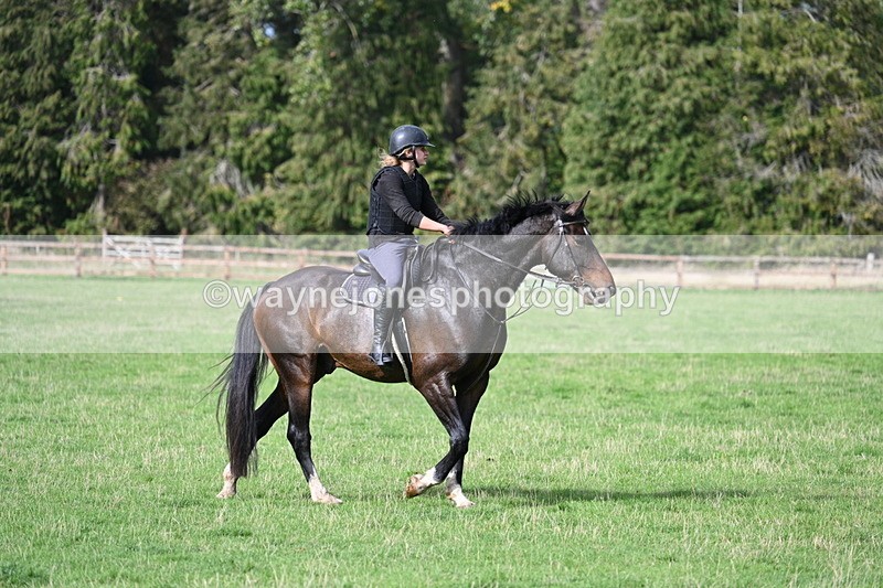 WJ7_9869 - Time 13:13 to 13:55