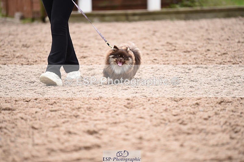 240518A-112018-00747 - Cls 1 Cutest Puppy