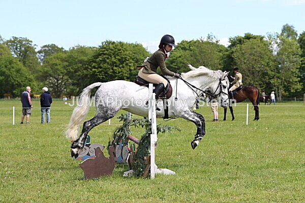 IMG_3124 - Working Hunter
