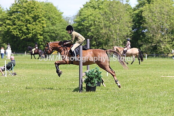 IMG_3629 - Working Hunter