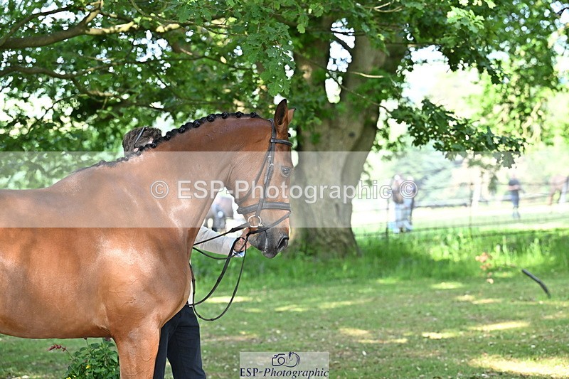 250521A-165132-01384 - C-269-Tom.Grant-NEW.NINI