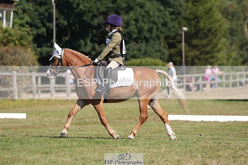 250823A-104838-28121 - Arena A