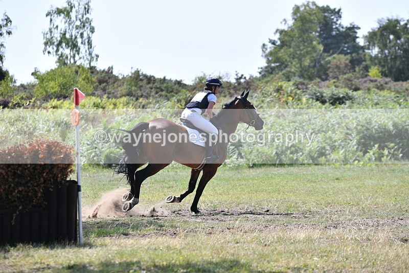 WJ5_3473 - XC Time 13:30 to 14:00