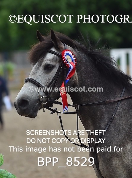 BPP_8529 - CLASS 2 Pony British Novice 2ND ROUND