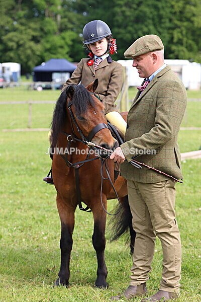 IMG_2343 - Working Hunter