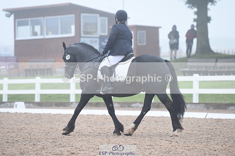 230708A-150810-03222 - Novice 24