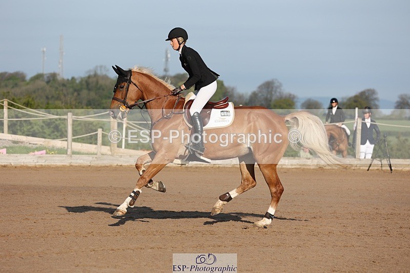 250427-083106-14505 - Cls 28 Young Horse 5yr old