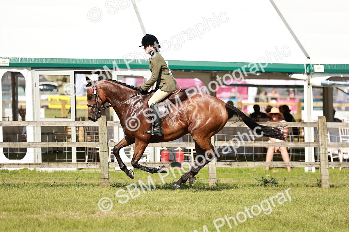 SBM_18889 - Class 114 - RIHS & SEIB Open Working Show Horse