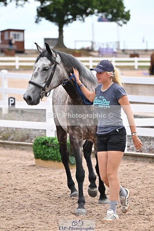 250716-135828-00832 - Trot Up 1.30 to 2.30