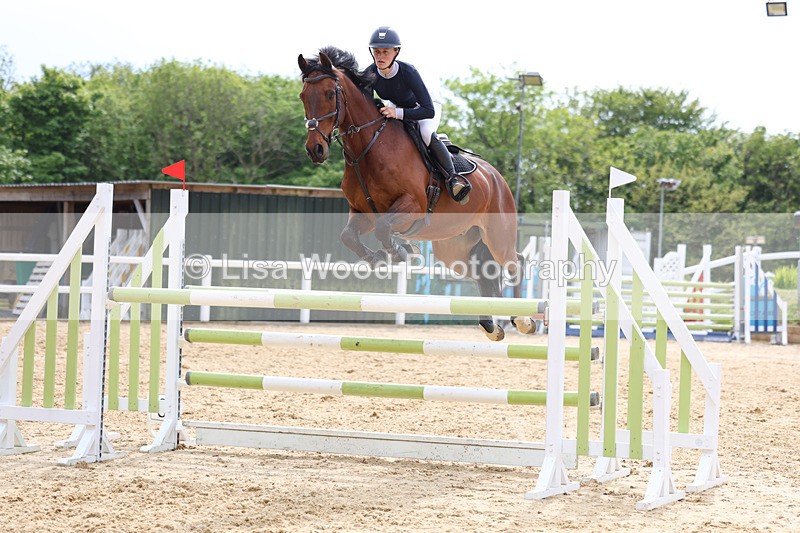 3E7A7681 - Class 8: Senior Foxhunter/1.20 open