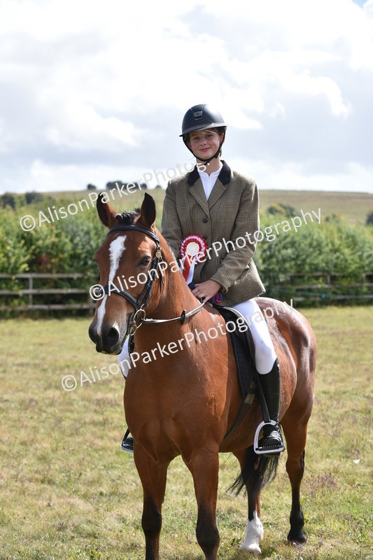 20250831-4039 - Class 12 - Working Hunter Pony 14.2hh and Under