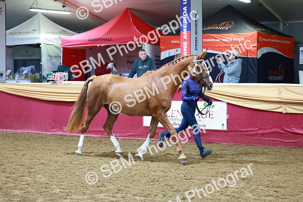 SBM_15996 - Class 901 - Sup Final - IH Diamond