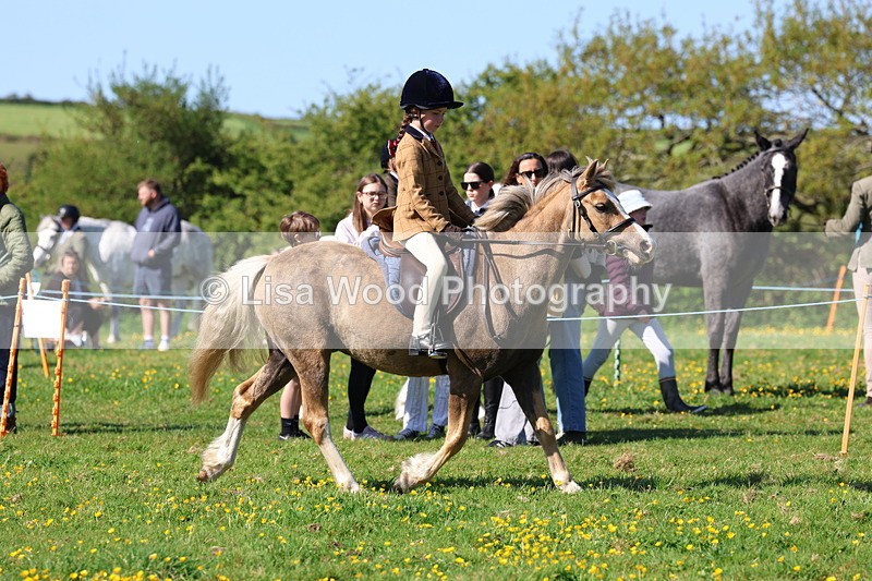 3E7A9144 - Class 3: First Ridden