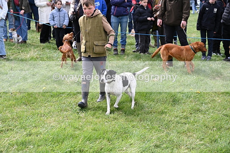 WJ6_8304 - Class 4 Prettiest Bitch