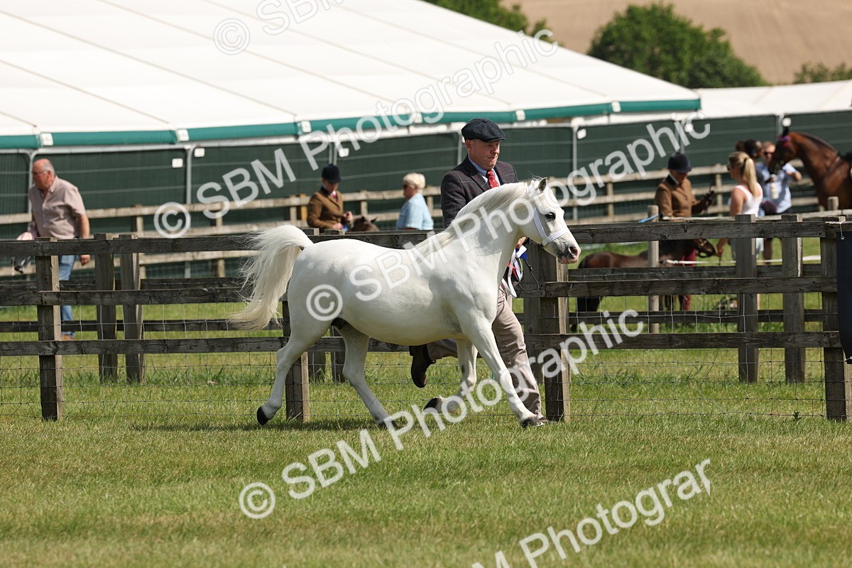 SBM_02389 - Class 6-13 - Mountatin and Moorland In Hand Welsh Breeds