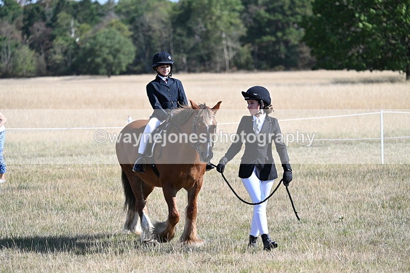WJ7_3076 - Class 8 Ridden Tack & Turnout