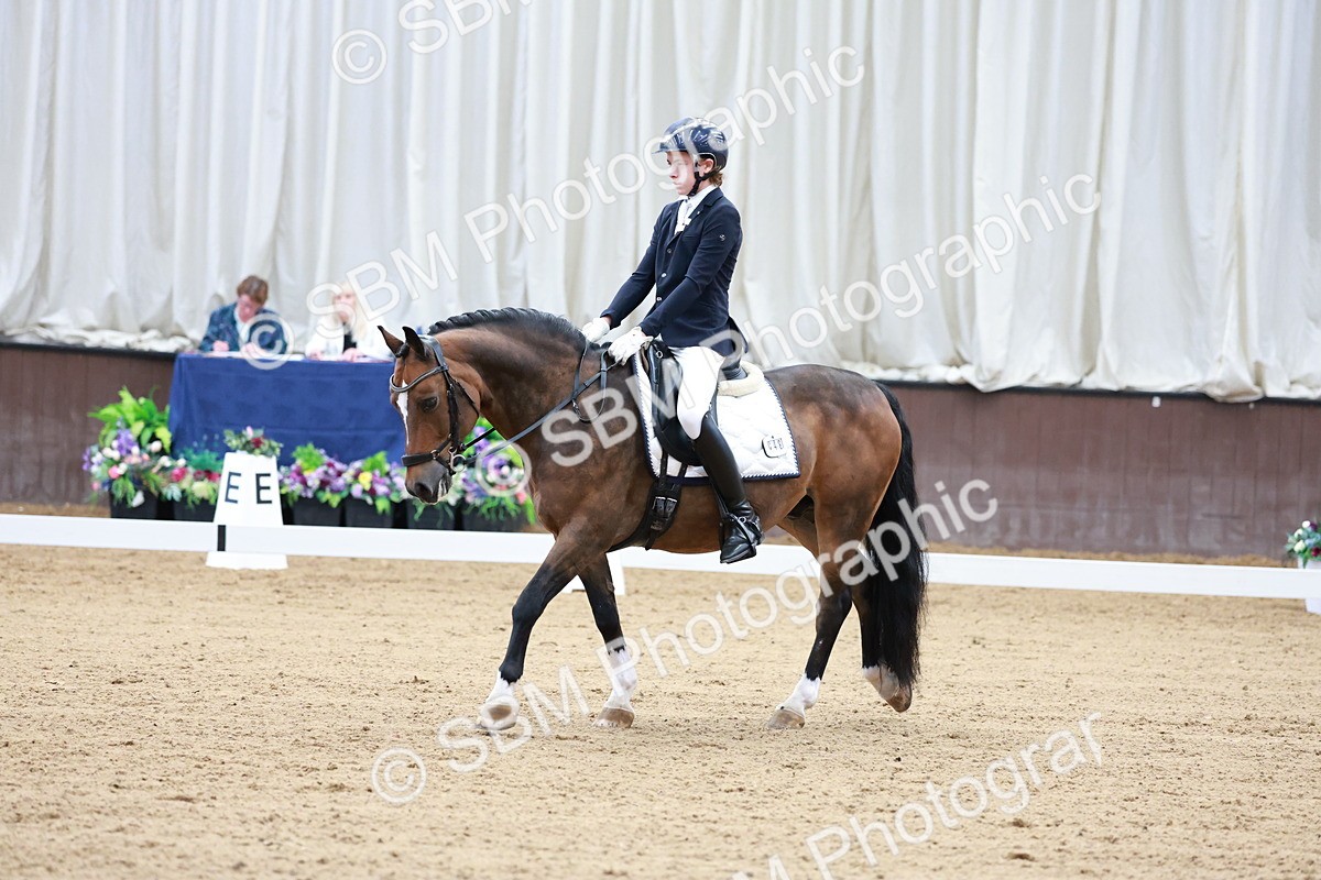 SBM_017140 - Class15 - FEI Pony