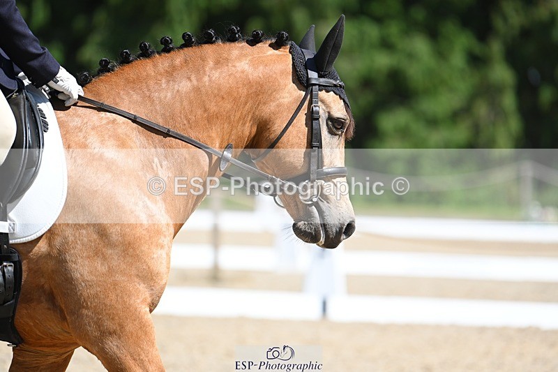 230811-141702-01778 - Cls 2 Prelim Silver Start to 14.30 break