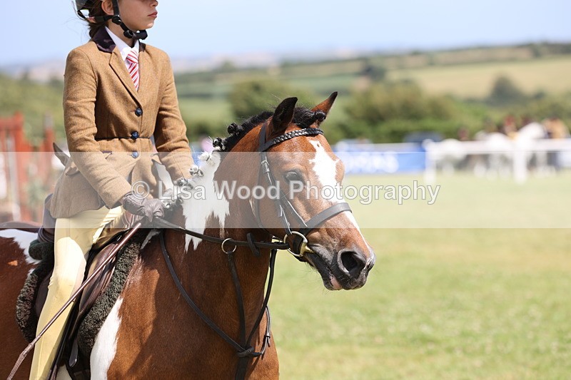 JPP_2144 - Class 19: Working Hunter 60cm