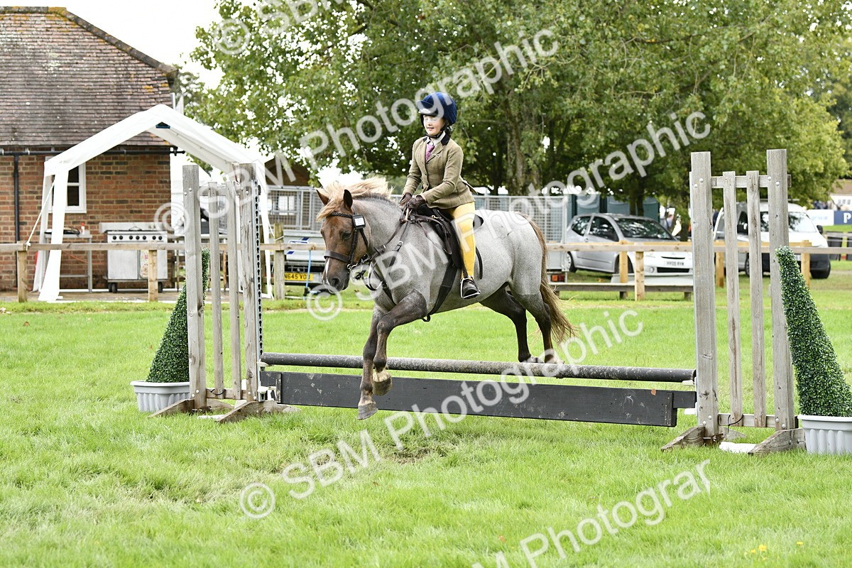 SBM_41322 - S32 - Mountain & Moorland Working Hunter Pony