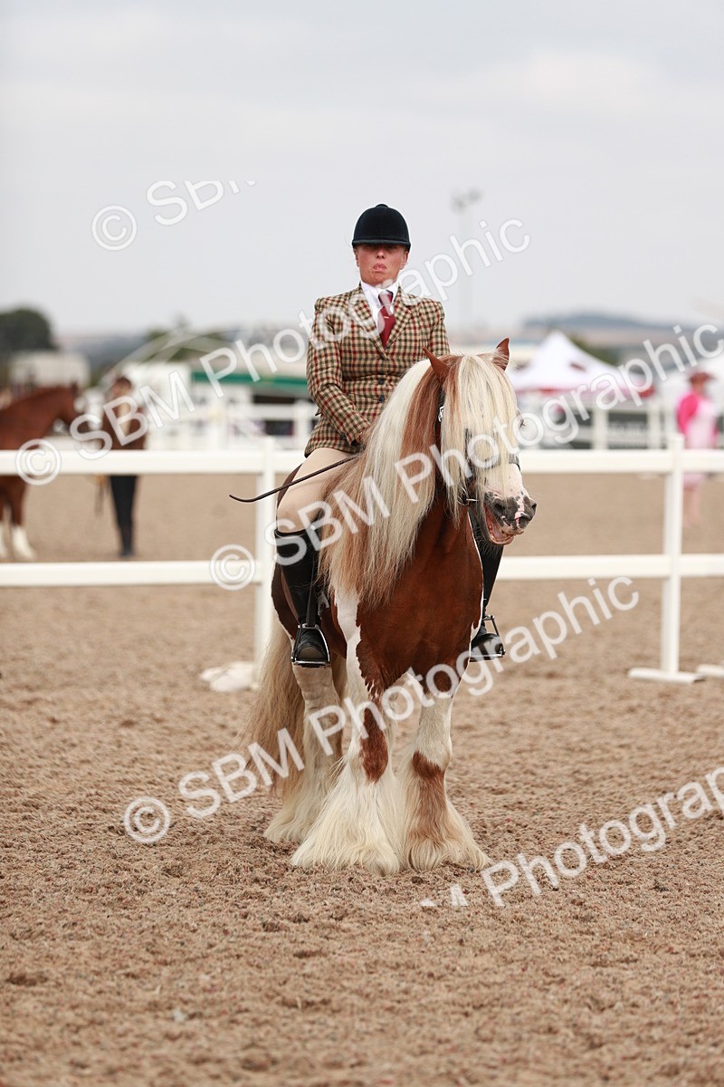SBM_16766 - Class 214 Ridden Cob