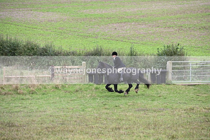 WJ6_1212 - Camera 2 Line 2