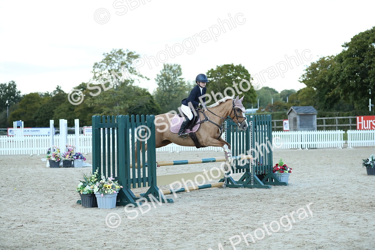 SBM_53687 - Supreme Championship 65cm 70cm