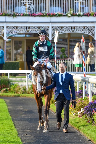 230923-Race 6-September Power-7058 - Race 6 4.55pm New To York Rio Brazilian Handicap